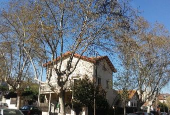 Al passeig d'Horta s'actuarà a quatre plàtans