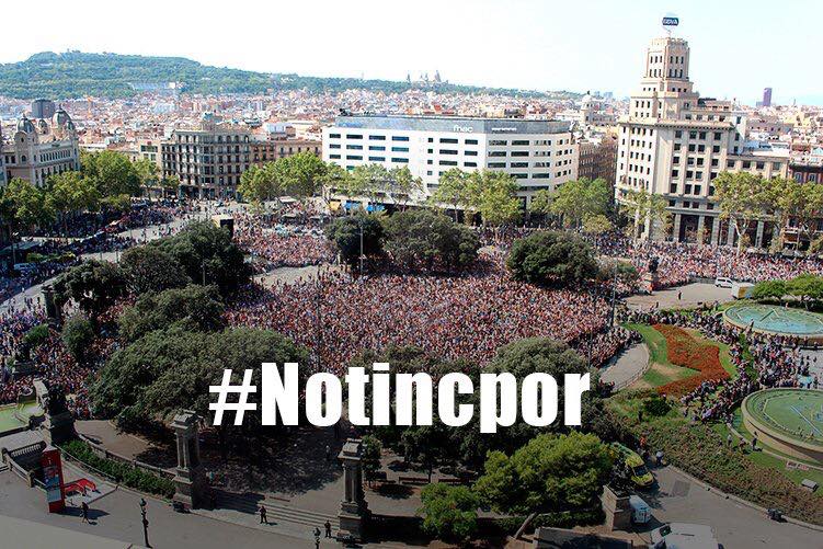 #notincpor