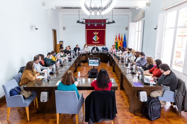 Fotografia del ple, el primer presencial després des de l'inici de la pandèmia