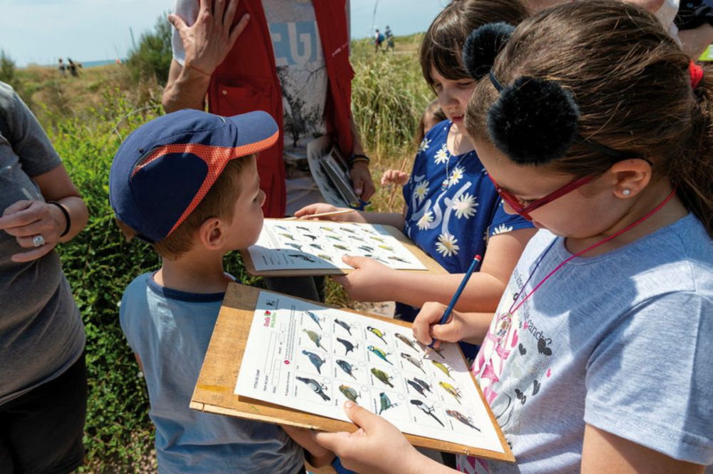 foto arxiu Bioblitz Metropolità. Ciència Ciutadana