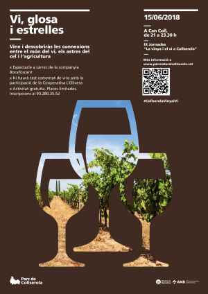 cartell de l'activitat