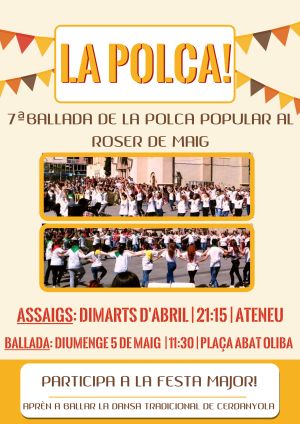 cartell de l'activitat