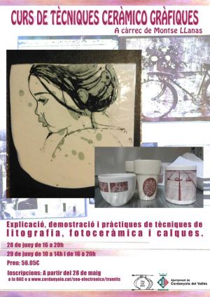cartell de l'activitat