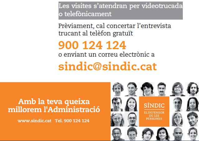 visita telemàtica del Síndic