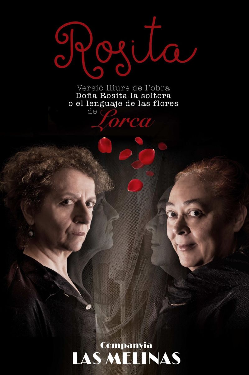 cartell de l'obra