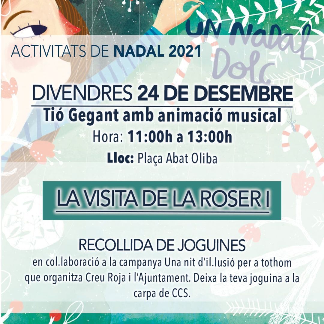 cartell de l'activitat