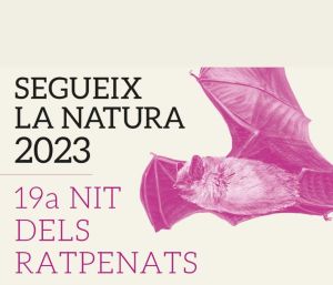 Imatge 19a Nit dels ratpenats
