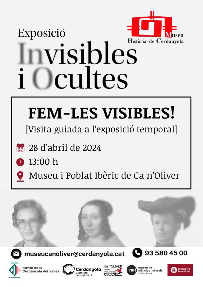 Imatge Fem-les visibles!