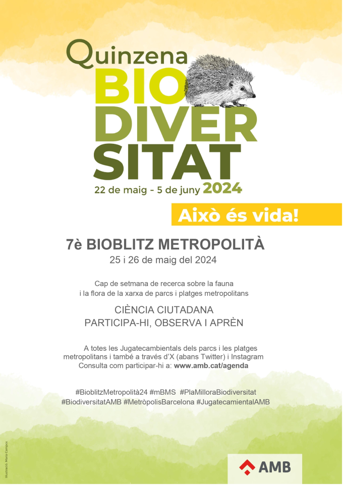 Imatge Jugatecambiental 