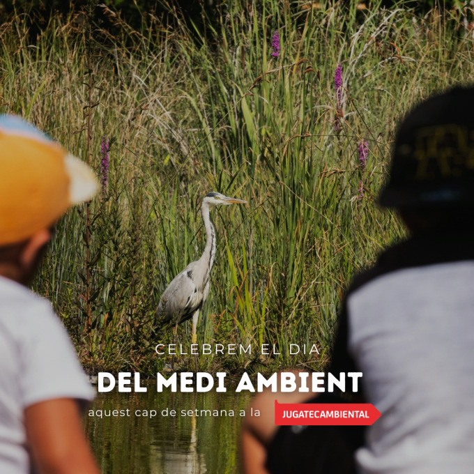 Imatge Jugatecambiental