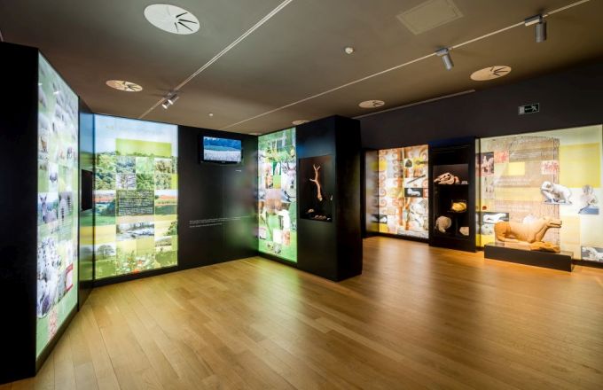 Imatge Dia Internacional dels Museus. Cerdanyola, terra d'ibers 