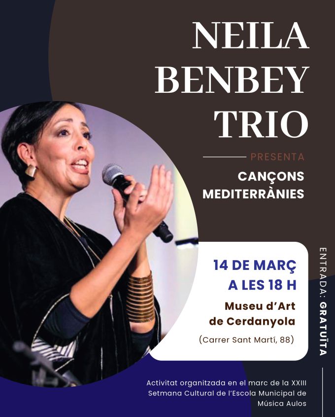 cartell del concert