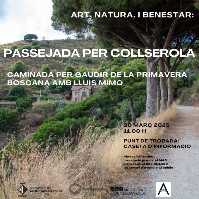 cartell de l'activitat