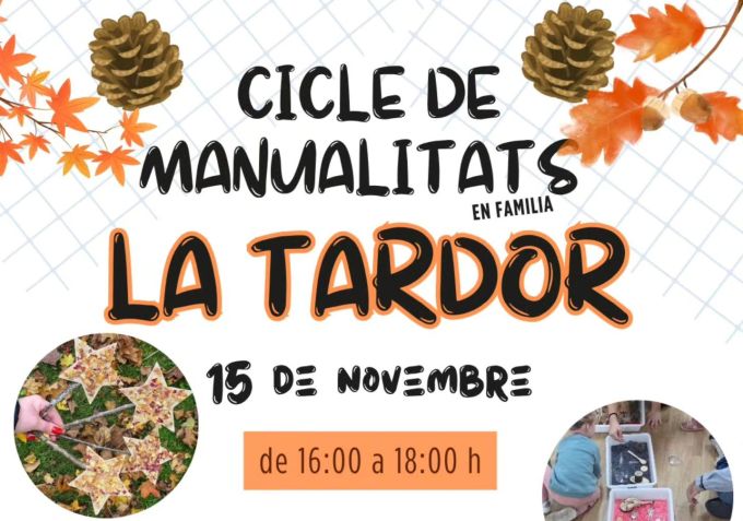 cartell de l'activitat