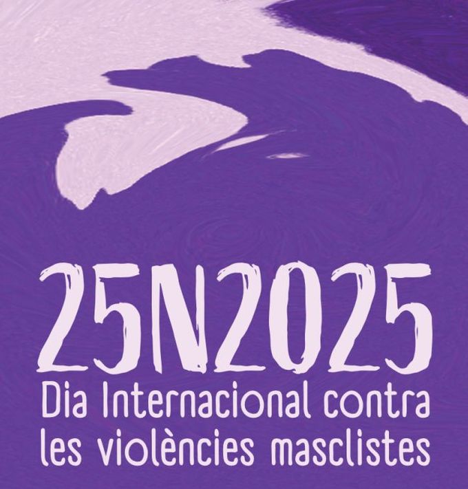 imatge 25N Dia Internacional contra les Violències Masclistes