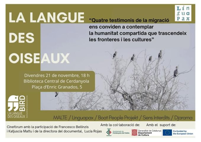 cartell de l'activitat