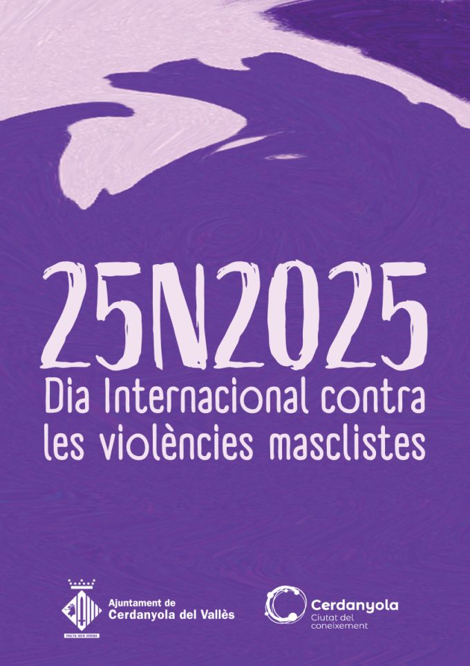 imatge 25N Dia Internacional contra les Violències Masclistes 2025