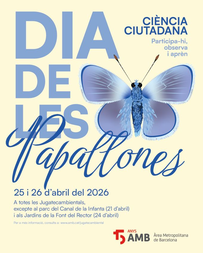 cartell de l'activitat
