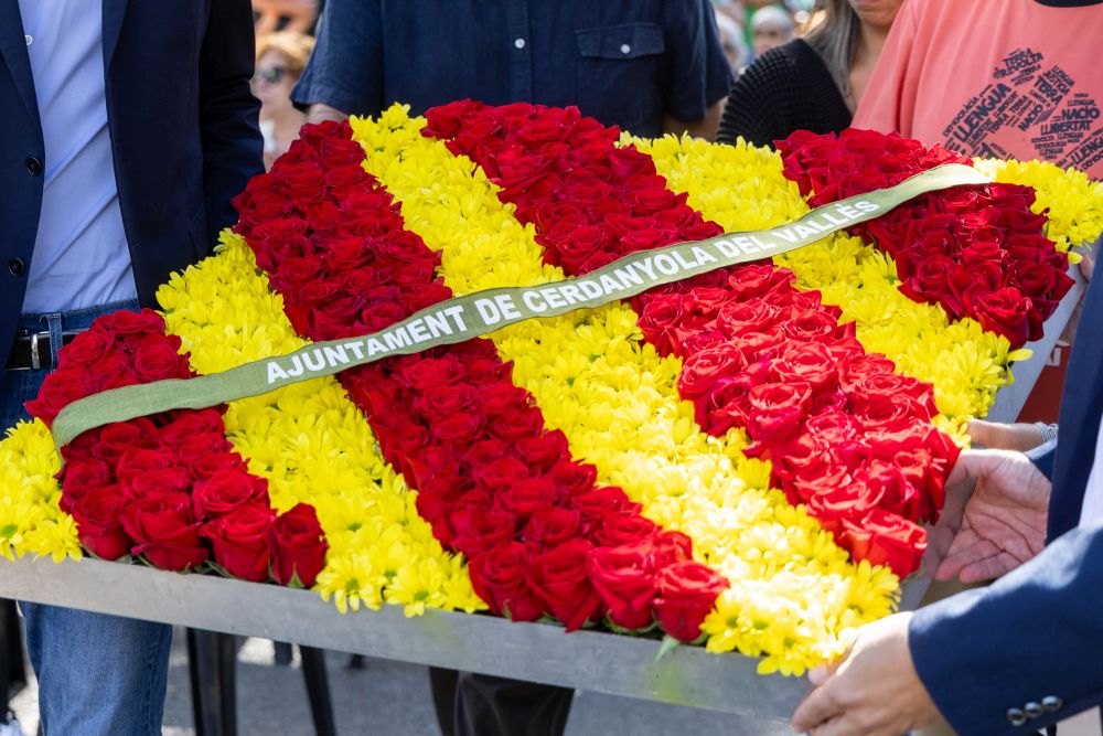 Imatge Diada Nacional de Catalunya 2025
