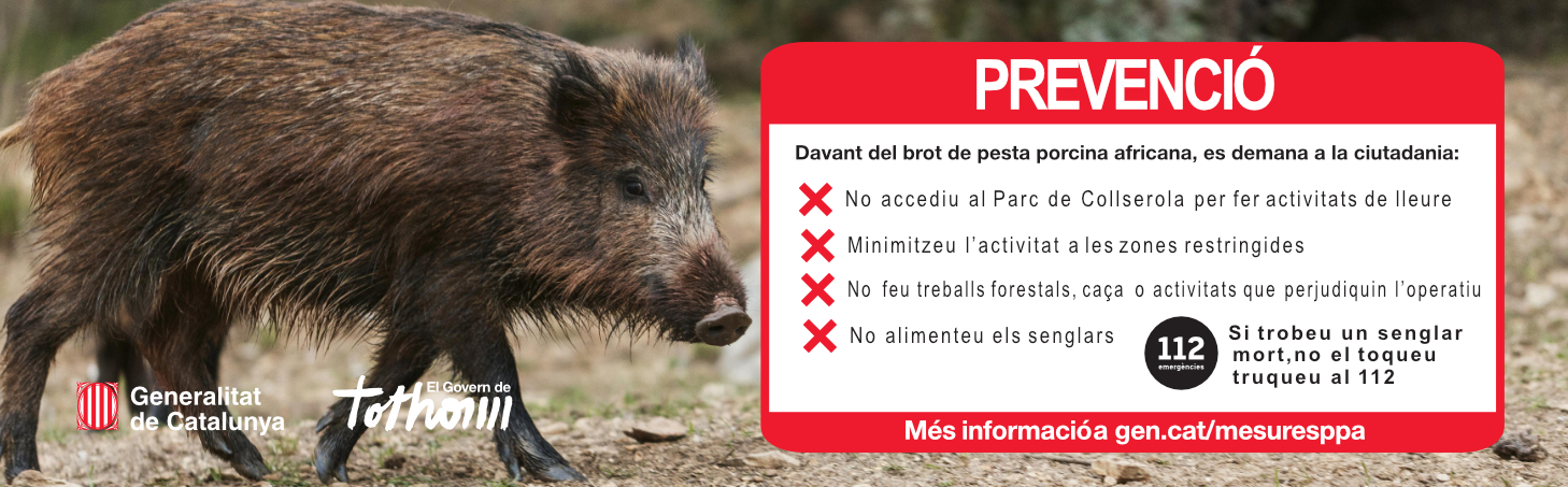 Banner Emergència Sanitària per Pesta Porcina Africana