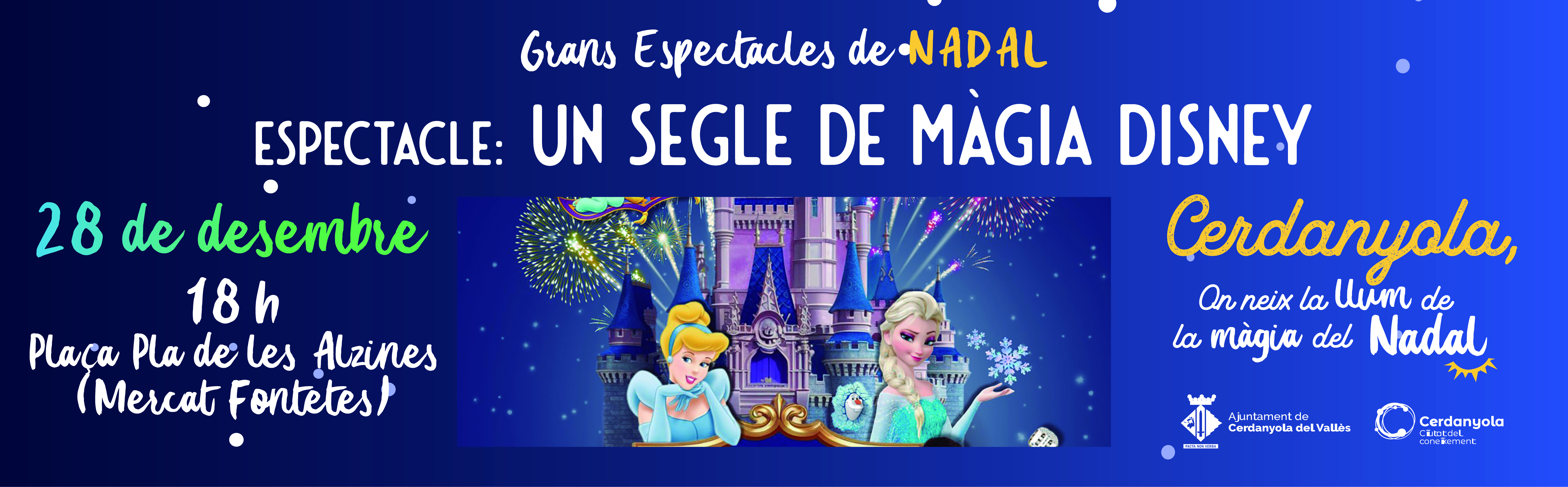 banner Espectacle familiar ‘Un Segle de Música Disney’